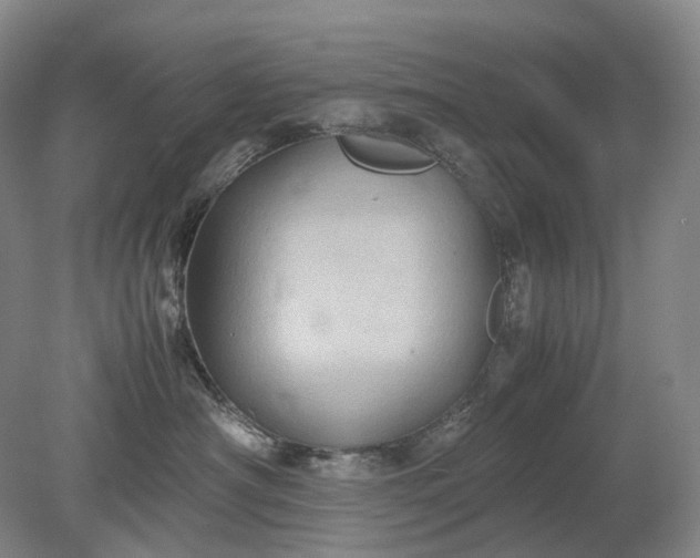 X0000079280430200612011703