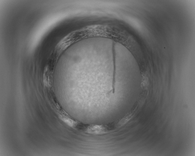 X0000079280431200612011703