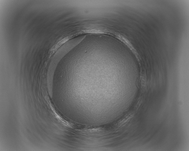 X0000079280433200612011702