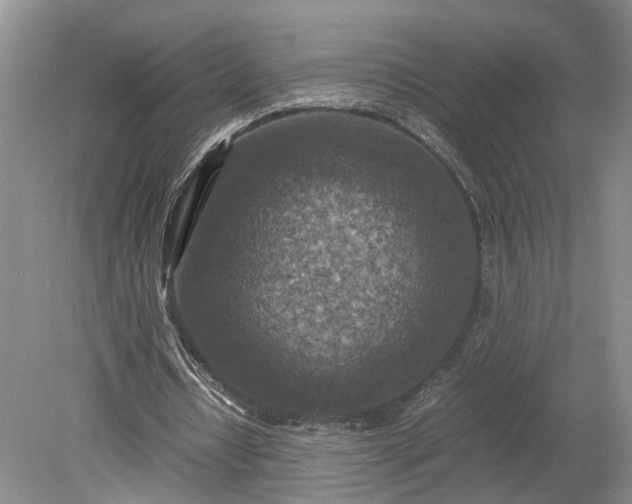 X0000079280434200612011702