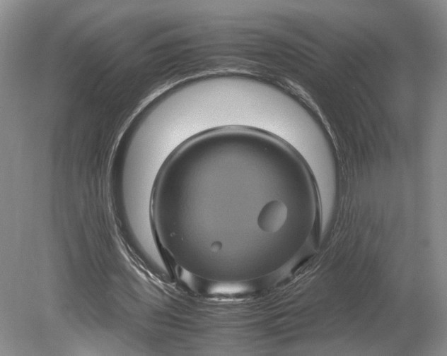 X0000079280435200612011702