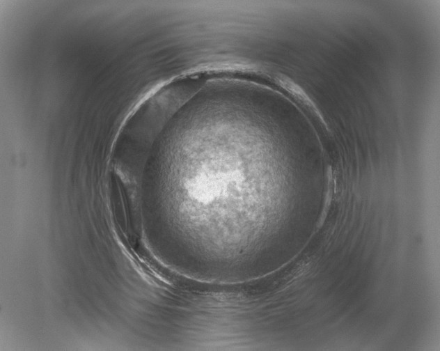 X0000079280436200612011702