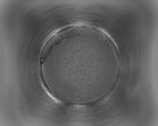 X0000079280437200612011702