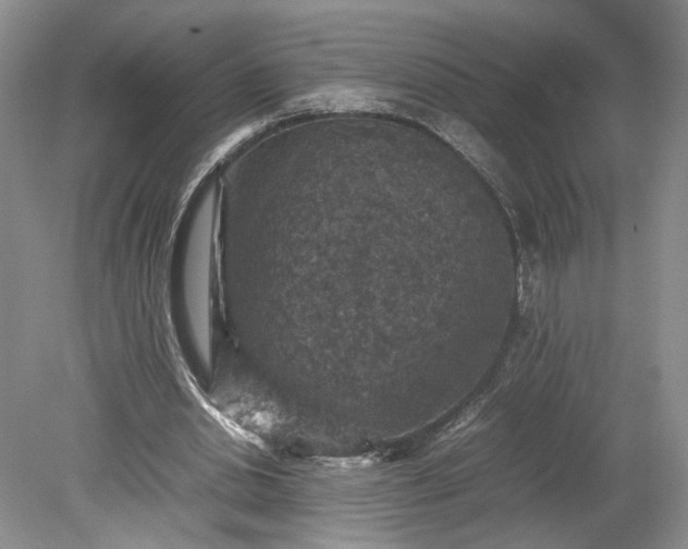 X0000079280438200612011702