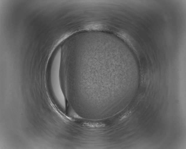 X0000079280439200612011702