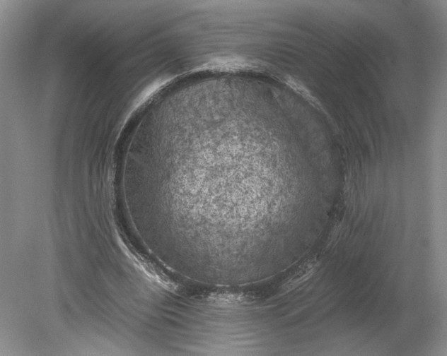 X0000079280440200612011702