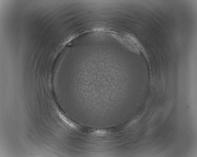 X0000079280441200612011702