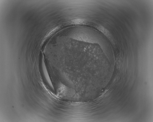 X0000079280442200612011702