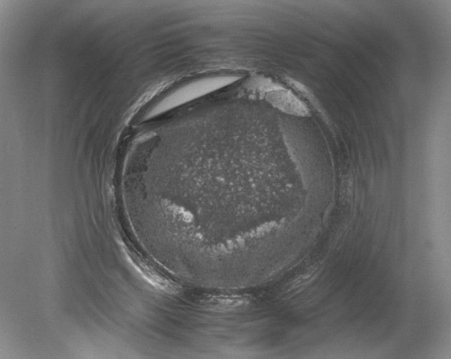 X0000079280443200612011702