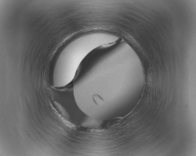 X0000079280444200612011702