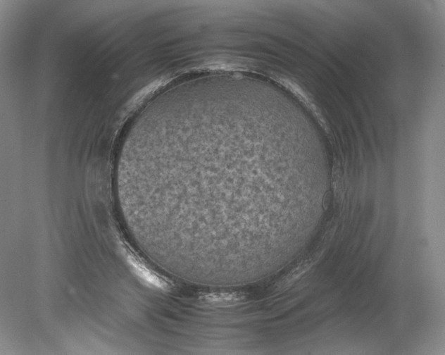 X0000079280445200612011702