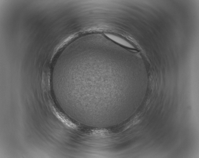 X0000079280446200612011702