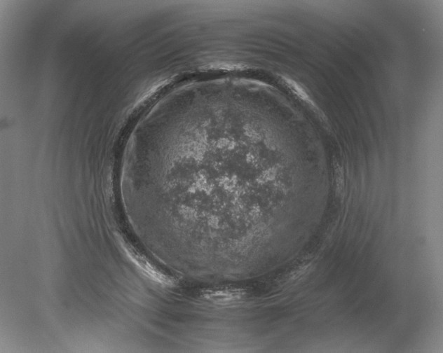 X0000079280447200612011702