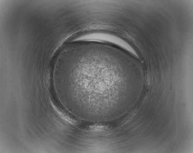 X0000079280448200612011702