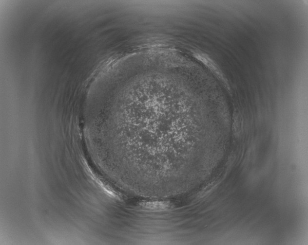 X0000079280449200612011702