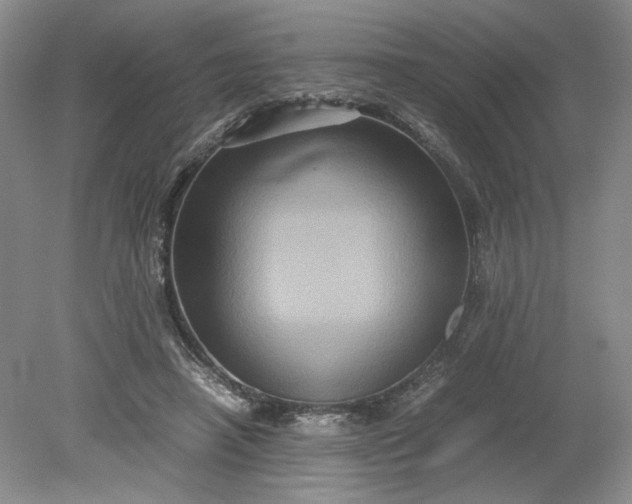 X0000079280450200612011702