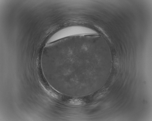 X0000079280451200612011702