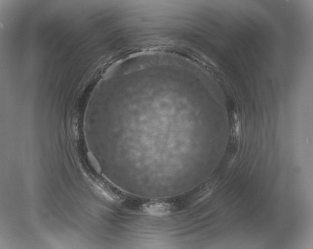 X0000079280452200612011702