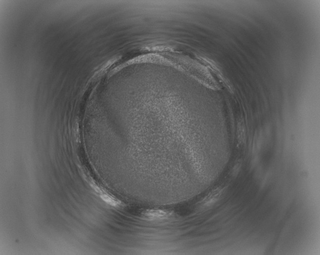 X0000079280453200612011702