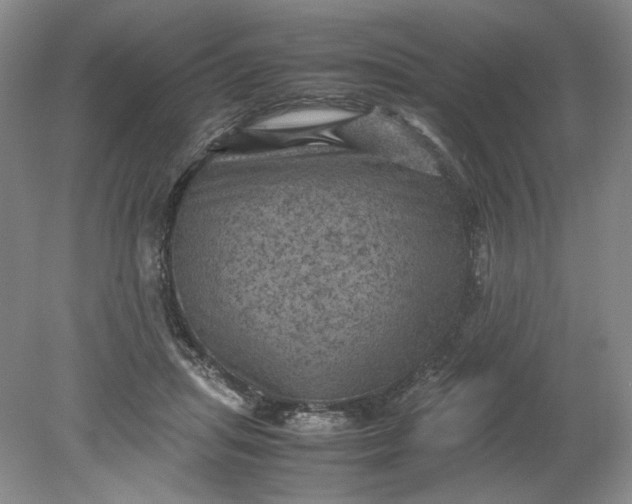 X0000079280455200612011702