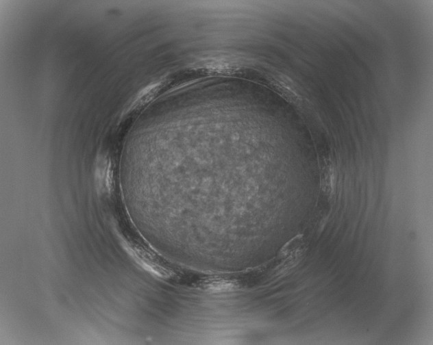 X0000079280456200612011702