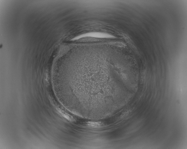 X0000079280457200612011702