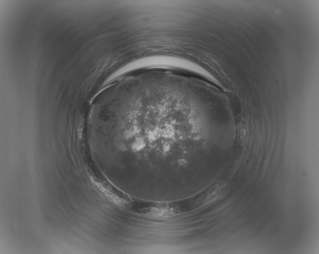 X0000079280458200612011702