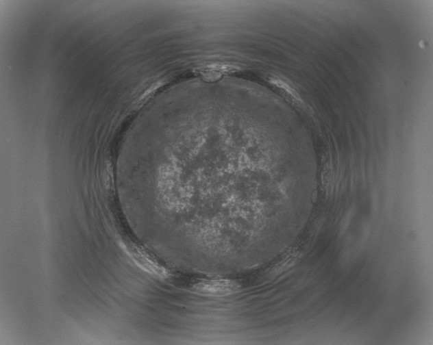 X0000079280459200612011702