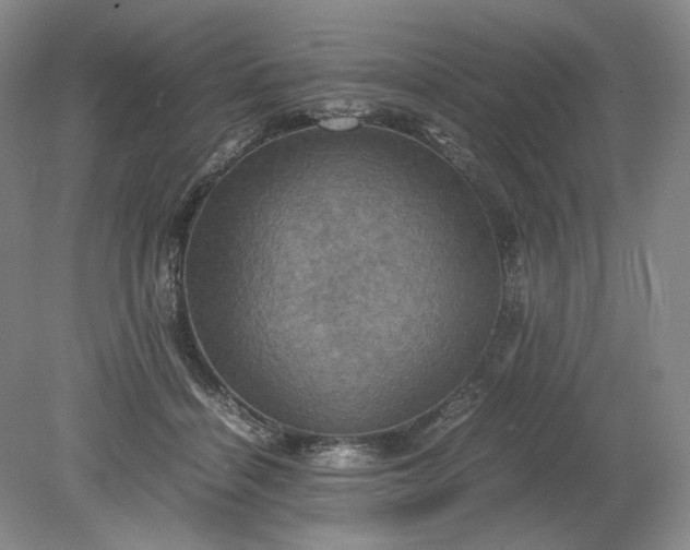 X0000079280460200612011702