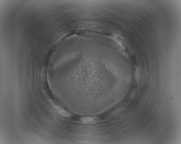 X0000079280461200612011702