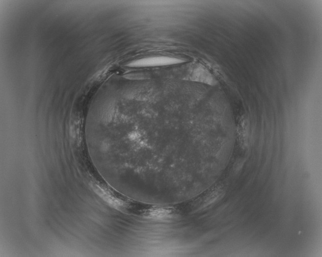 X0000079280462200612011702