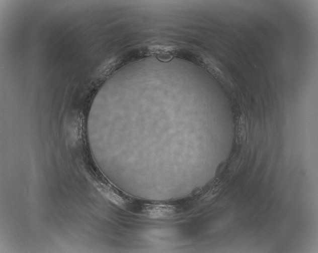 X0000079280463200612011702