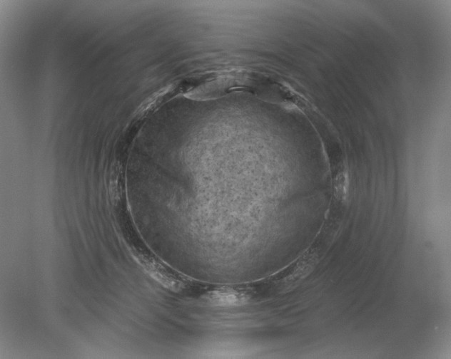 X0000079280464200612011702