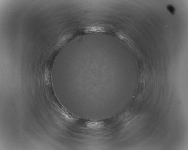 X0000079280465200612011702