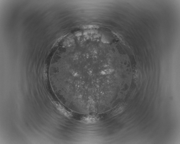 X0000079280466200612011702