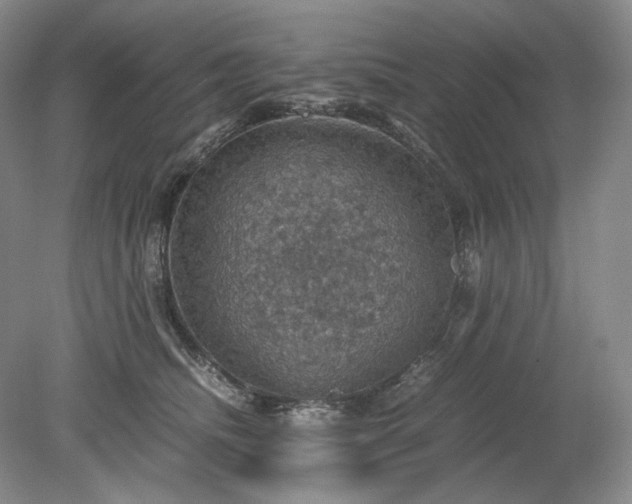 X0000079280468200612011702