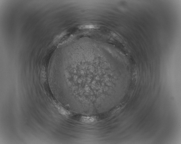 X0000079280469200612011703