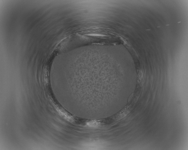 X0000079280470200612011703