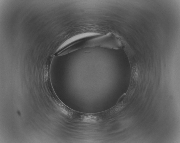 X0000079280471200612011703