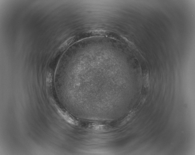 X0000079280472200612011703