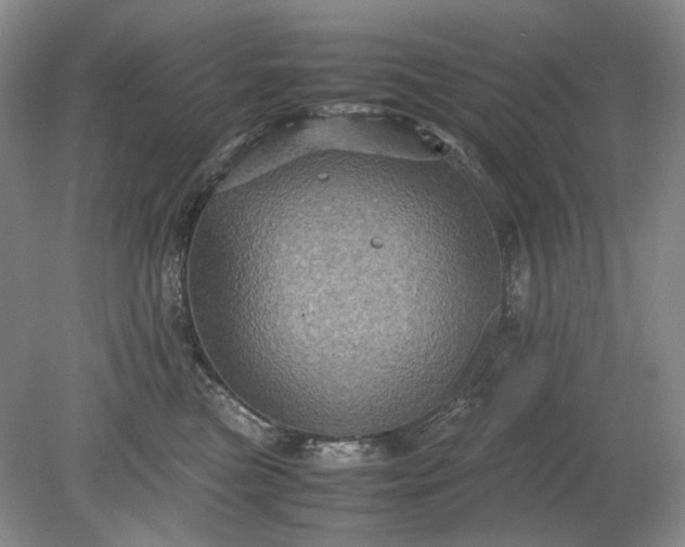 X0000079280473200612011703