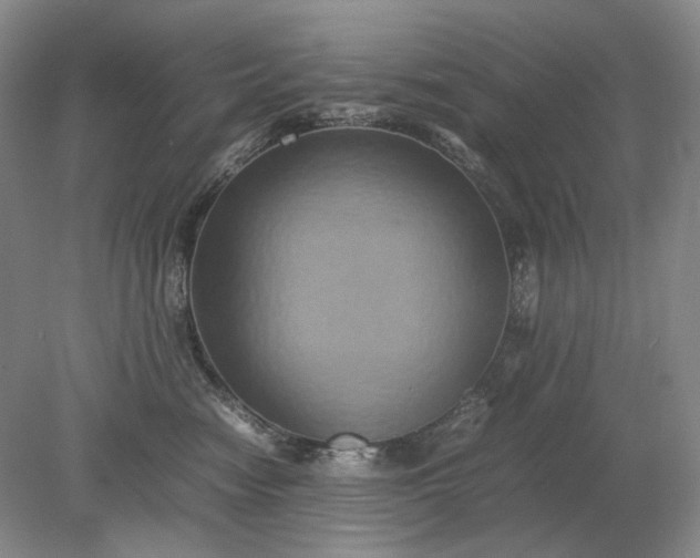 X0000079280474200612011703