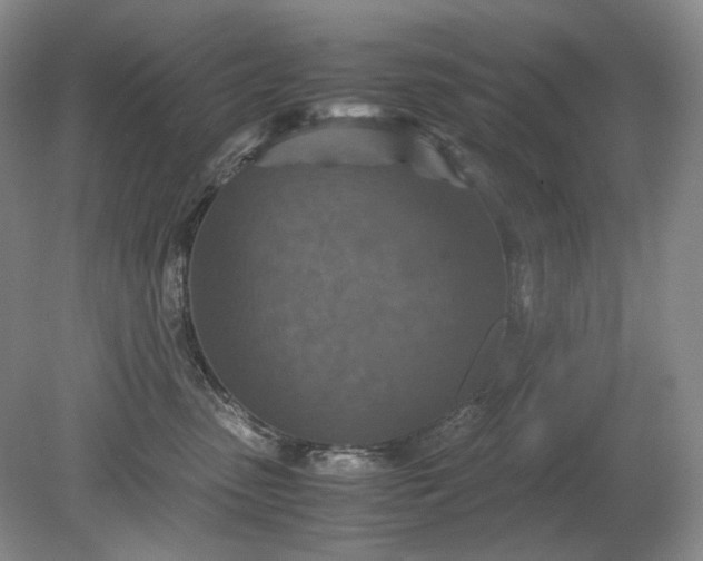 X0000079280475200612011703