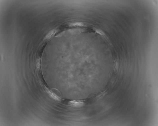 X0000079280477200612011703