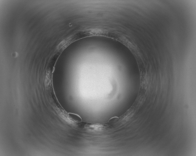 X0000079280478200612011703