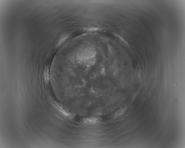 X0000079280479200612011703