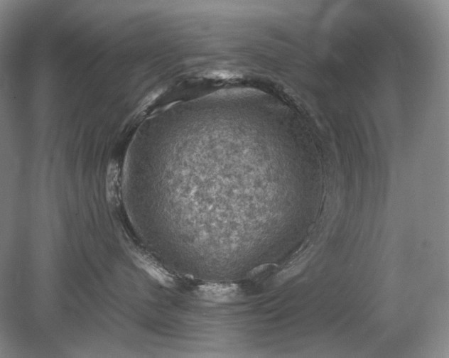 X0000079280480200612011703