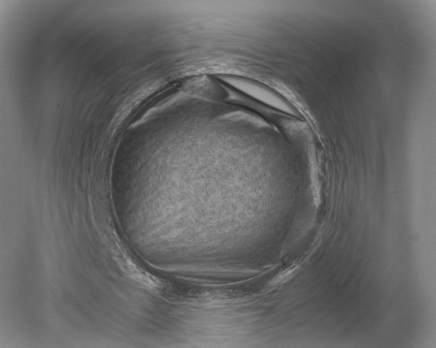 X0000079280481200612011702