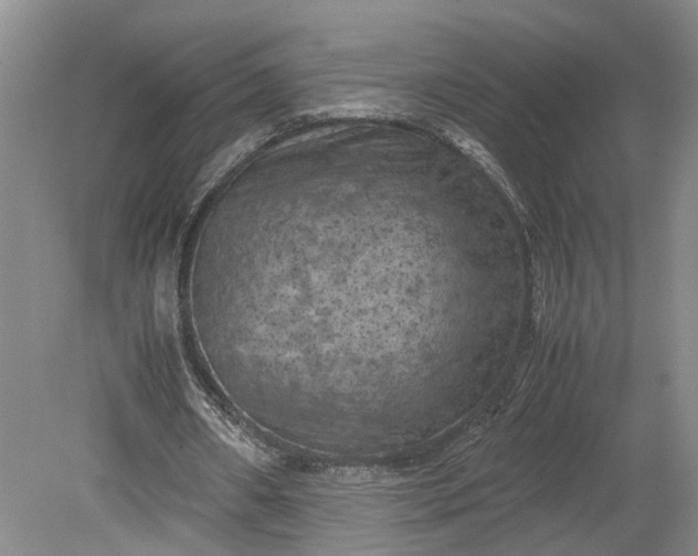 X0000079280482200612011702