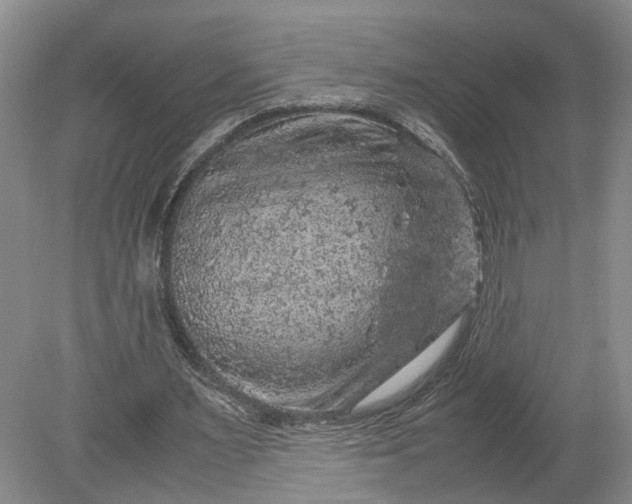 X0000079280483200612011702